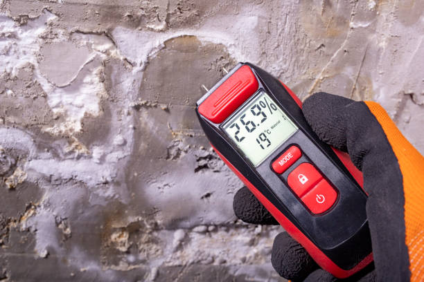 Best Water Damage Restoration  in Summit Hill, PA