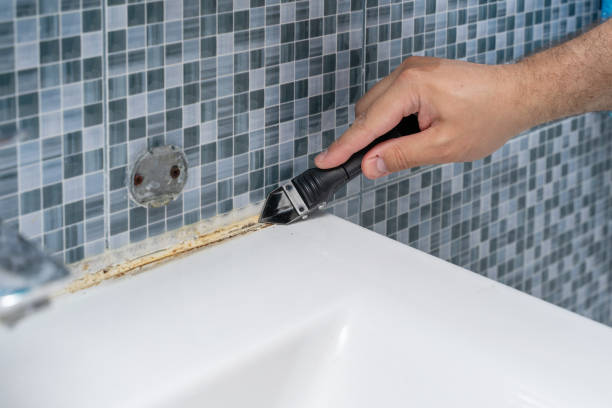 Best Residential Mold Removal  in Summit Hill, PA