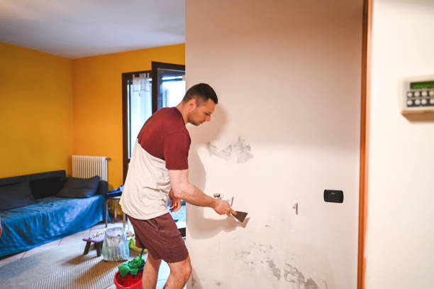 Best Affordable Mold Removal  in Summit Hill, PA