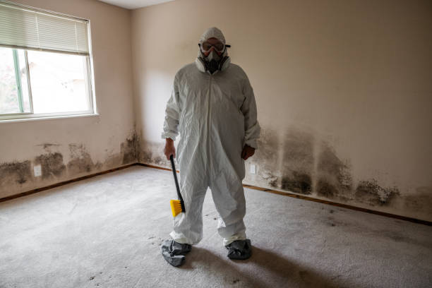 Best Commercial Mold Removal  in Summit Hill, PA
